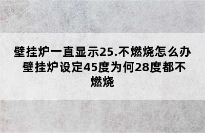 壁挂炉一直显示25.不燃烧怎么办 壁挂炉设定45度为何28度都不燃烧